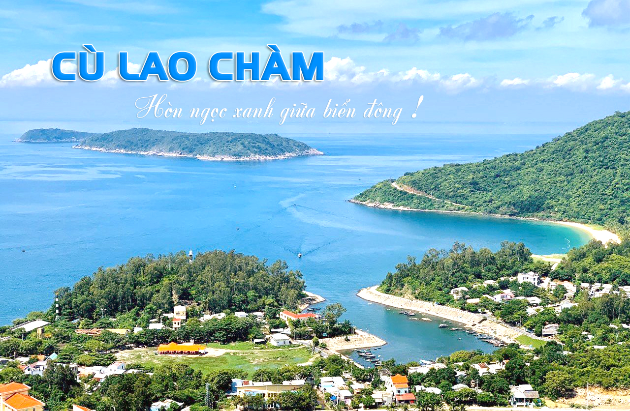 Kinh nghiệm du lịch Cù Lao Chàm lặn ngắm san hô